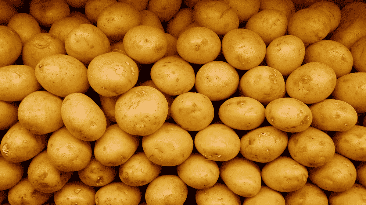 Can Vegans Eat White Potatoes