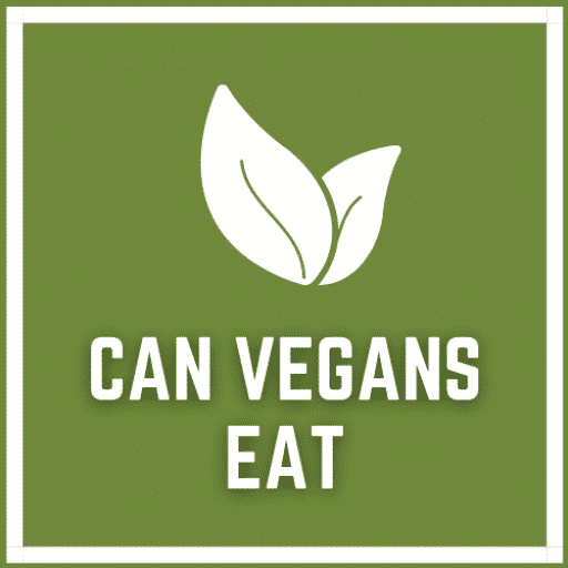 Is Impossible Burger Vegan Fully Explained 