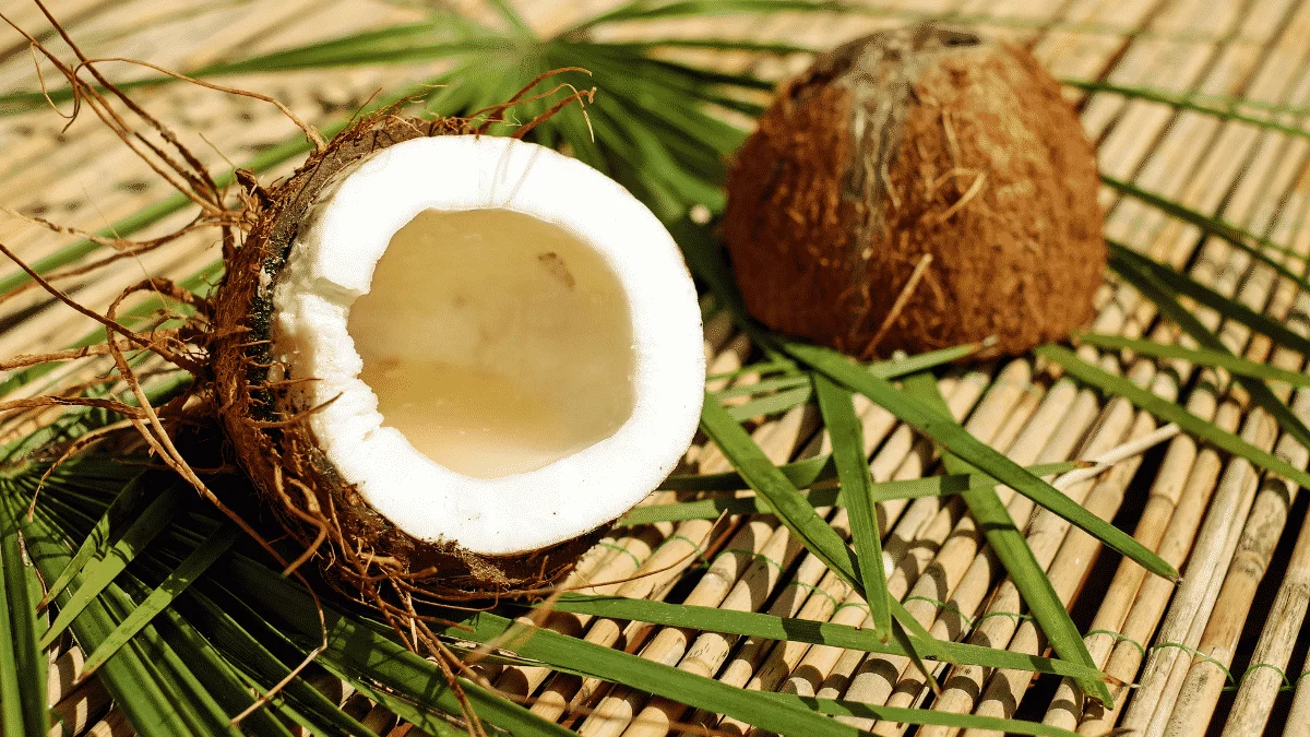 Can Vegans Eat Coconut
