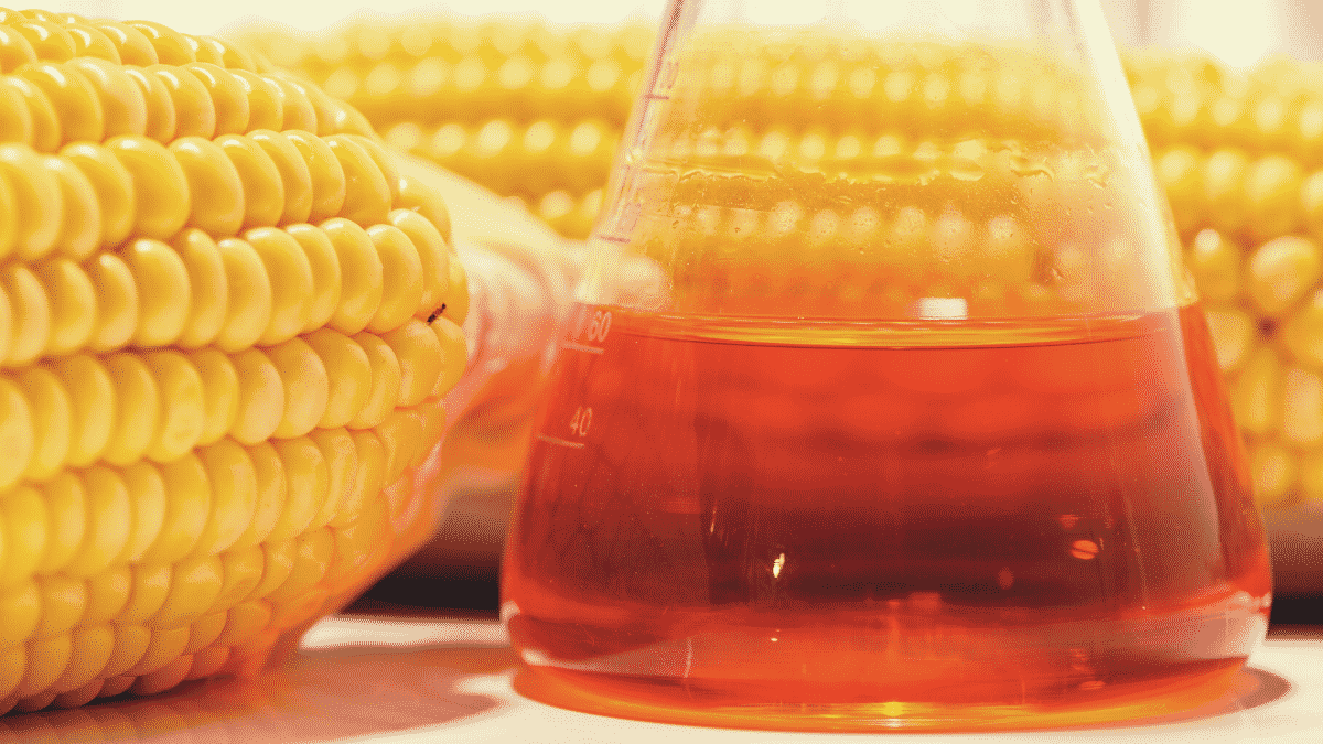 Can Vegans Eat Corn Syrup?