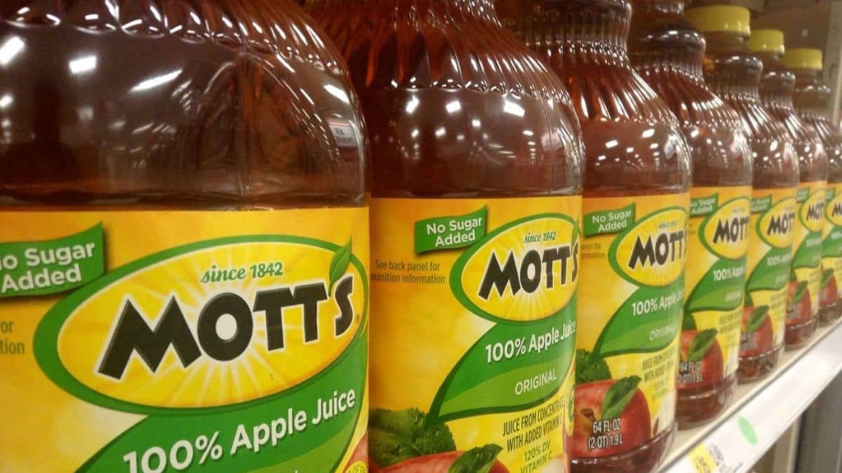 Are Motts Fruit Snacks Vegan?