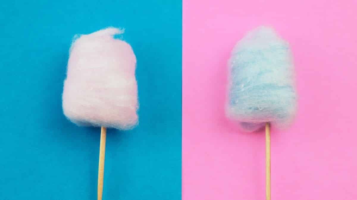 Is Cotton Candy Vegan