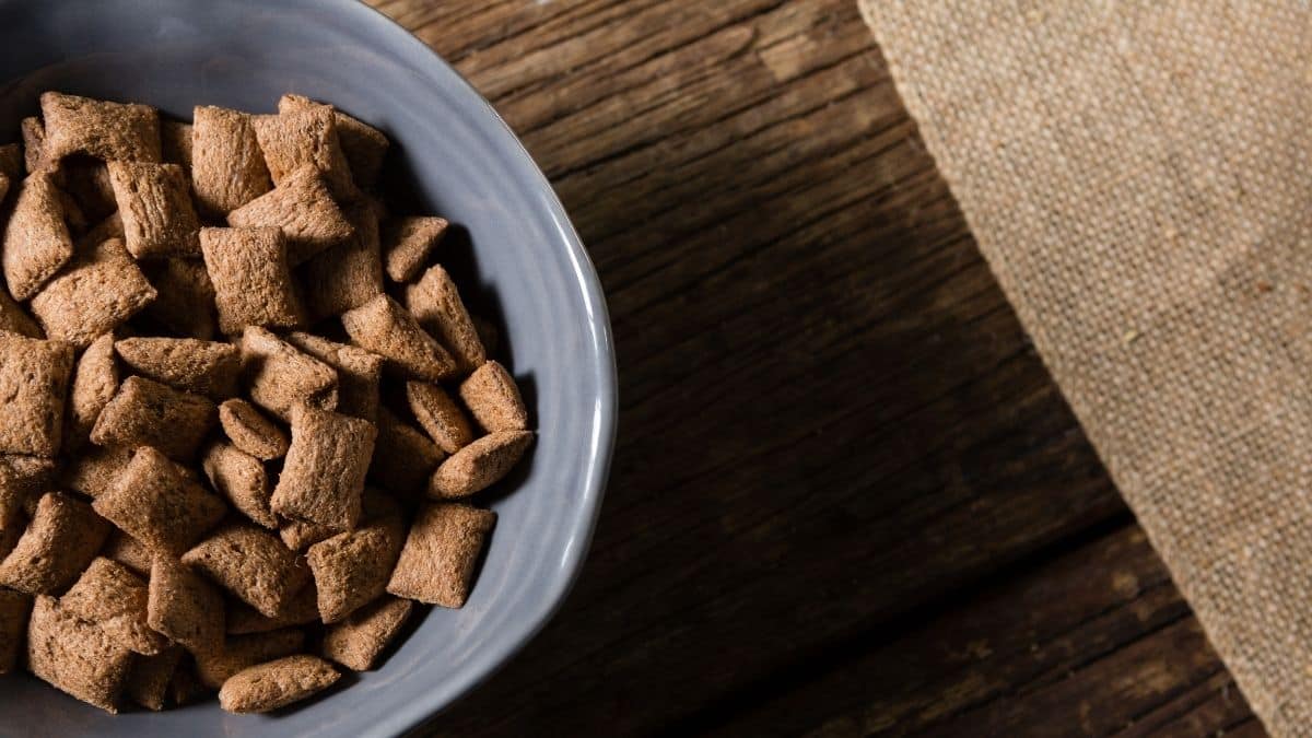 Is Cinnamon Toast Crunch Vegan? Can Vegans Eat Cinnamon Toast Crunch?