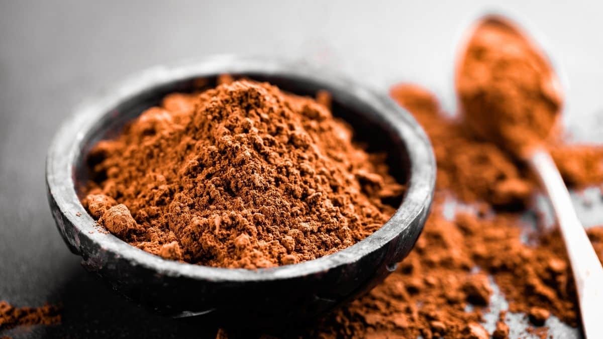 Is Cocoa Powder Vegan? Can Vegans Use Cocoa Powder?
