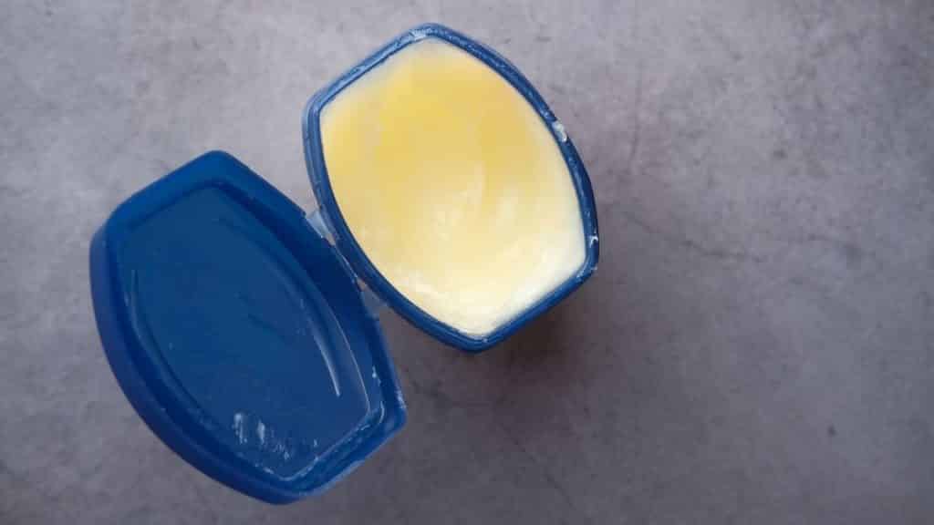 Is Petroleum Jelly Vegan