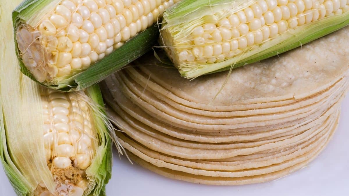 Are Corn Tortillas Vegan? Can Vegans Eat Corn Tortillas?