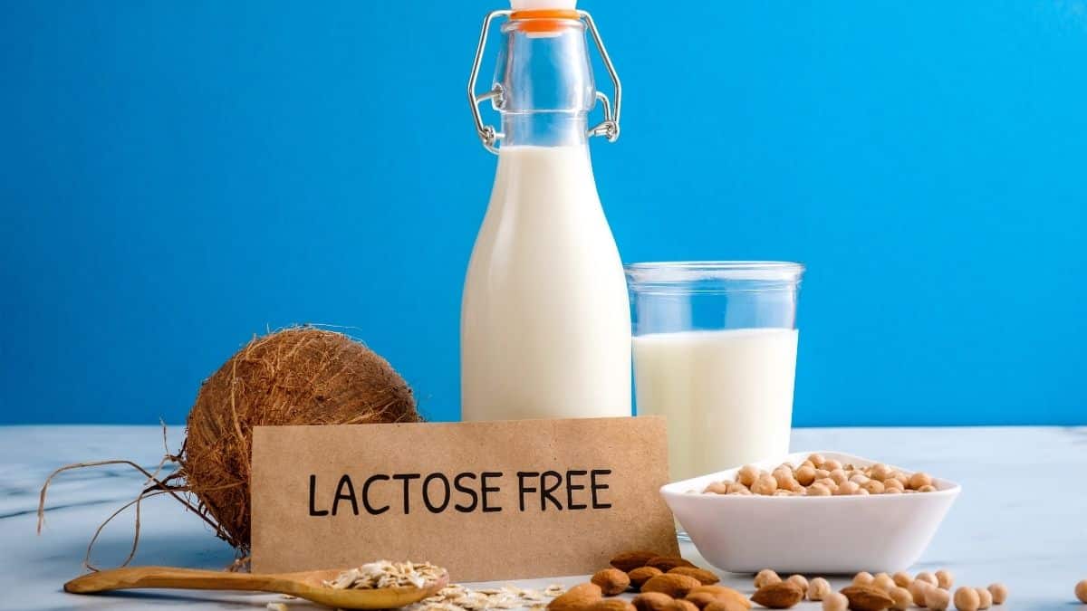 Is Lactose-Free Milk Vegan? Can Vegans Drink Lactose-Free Milk?