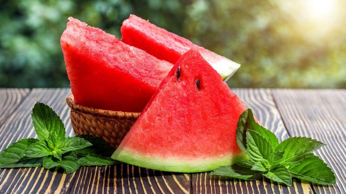 Is Watermelon Vegan? Can Vegans Eat Watermelon?