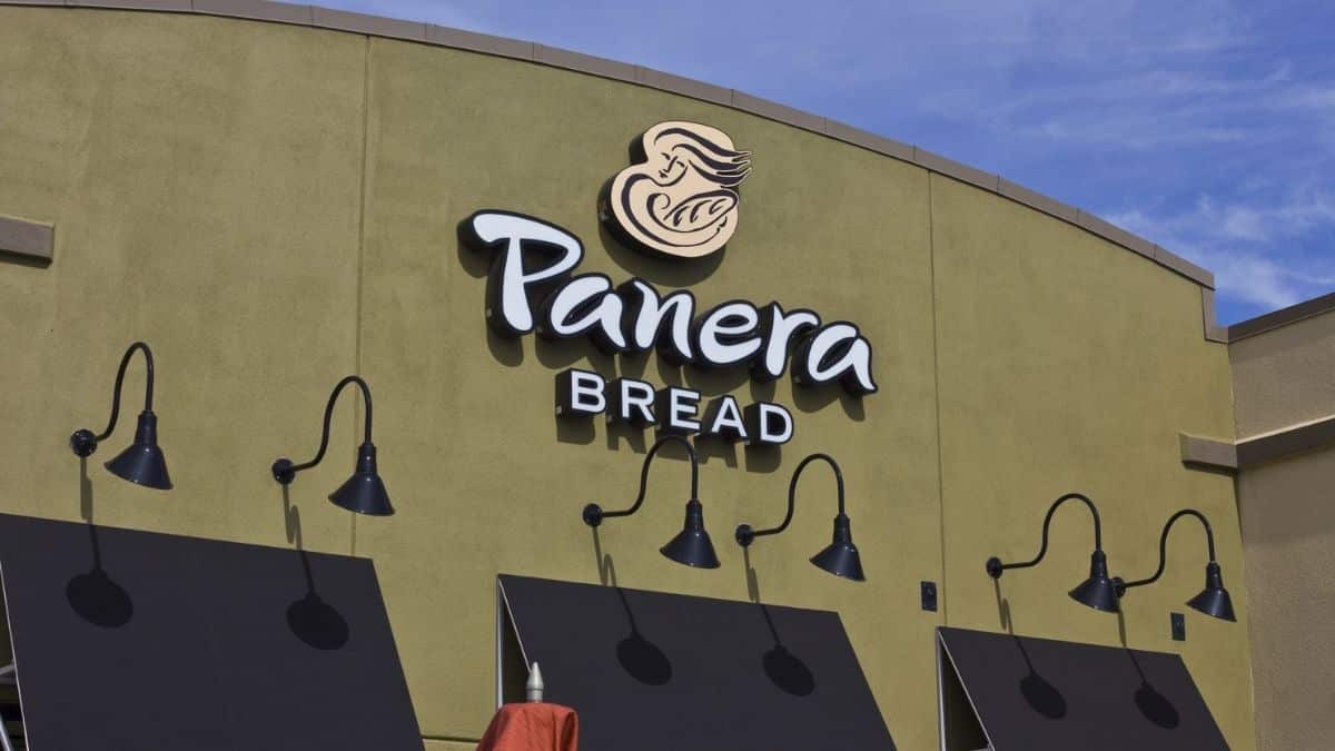 What Are the Vegan Options at Panera? (Updated Guide)