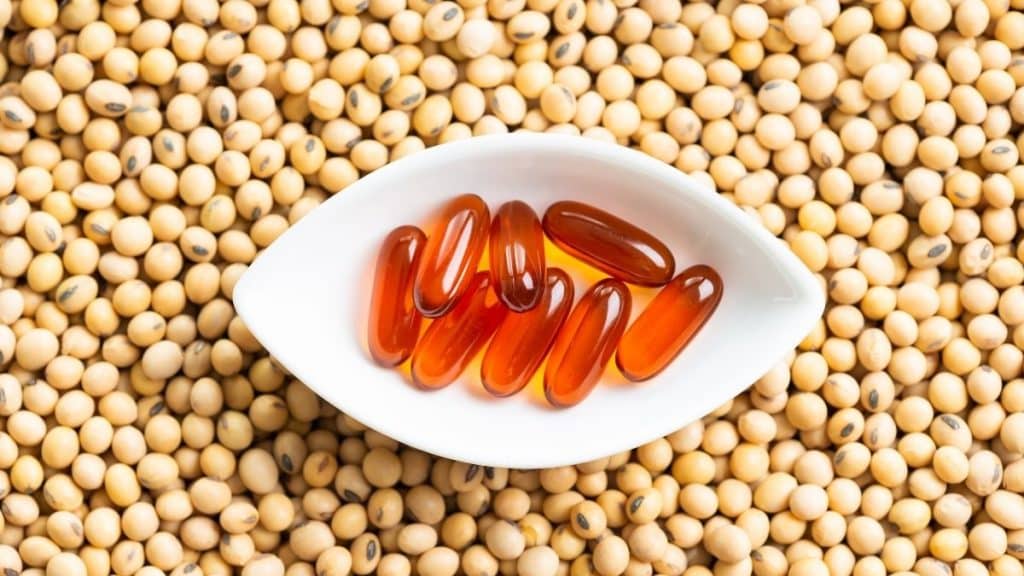 Is Lecithin Vegan