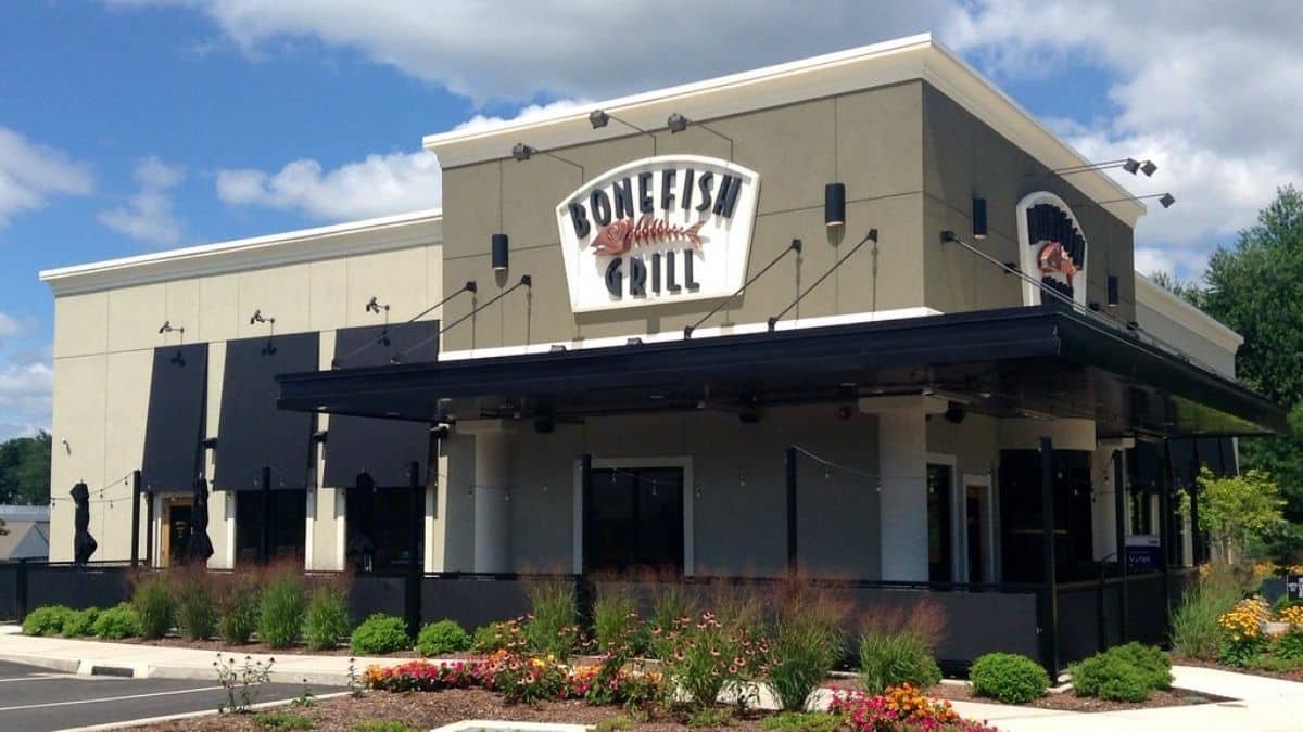 What Are the Vegan Options at Bonefish Grill? (Updated Guide)