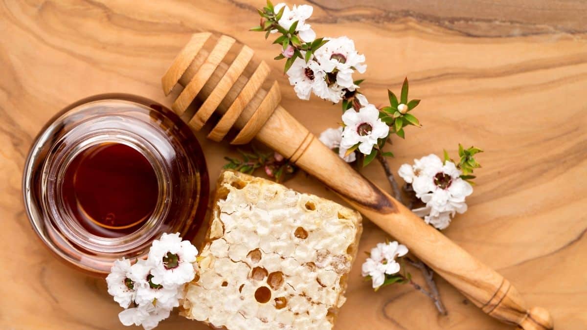 Is Manuka Honey Vegan? Can Vegans Eat Manuka Honey?
