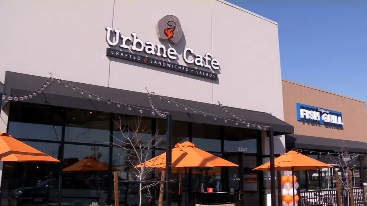 Vegan Options At Urbane Cafe