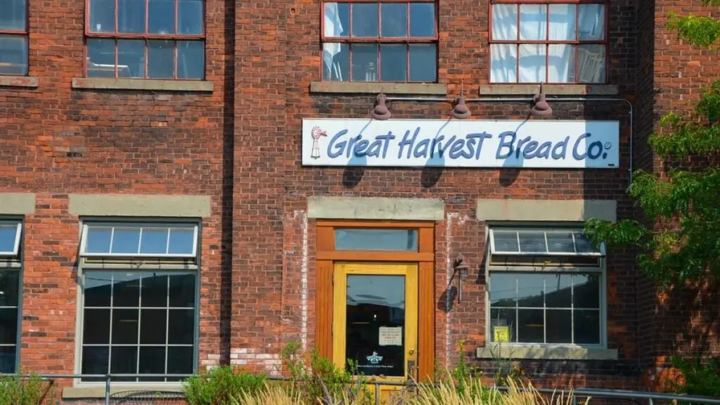Vegan Options At Great Harvest Bread Co