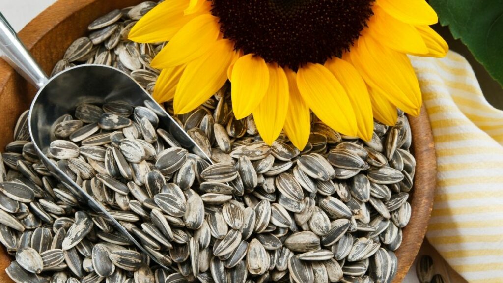 Are Sunflower Seeds Vegan