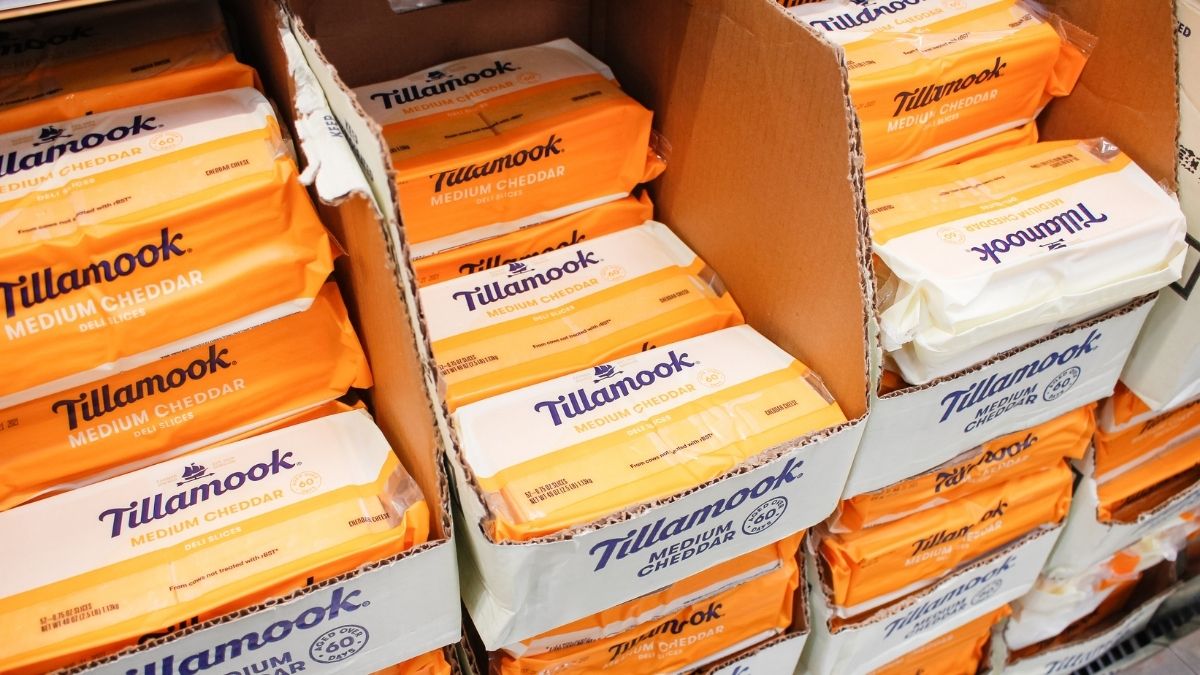 Is Tillamook Cheese Vegan? Can Vegans Eat Tillamook Cheese?