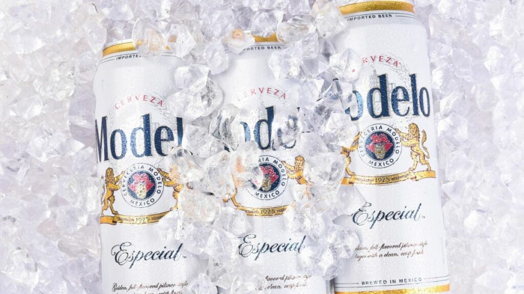 Is Modelo Beer Vegan