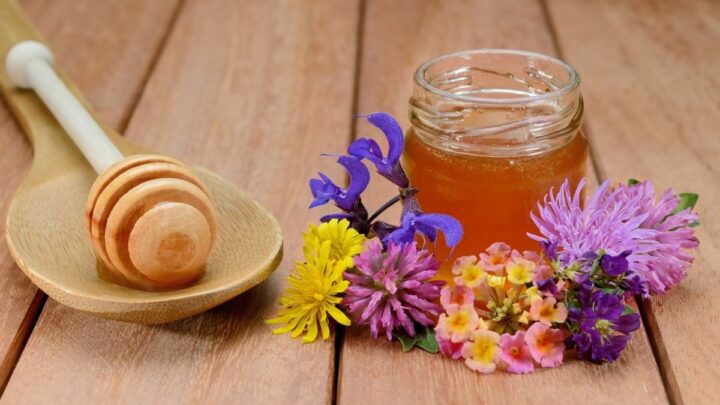 Is Wildflower Honey Vegan