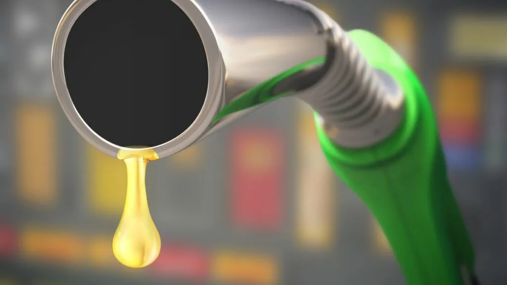 Is Gasoline Vegan